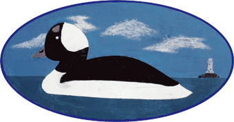 Buffleheads Logo Duck