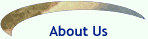 About us page link